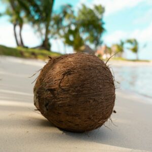 brown round ball on white sand during daytime